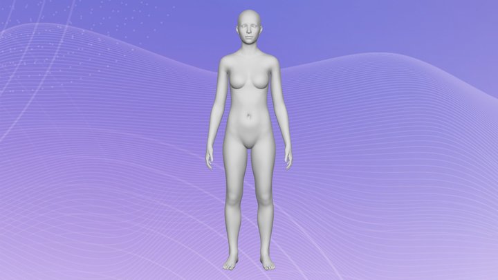 Female - Size 38 - Tall 3D Model