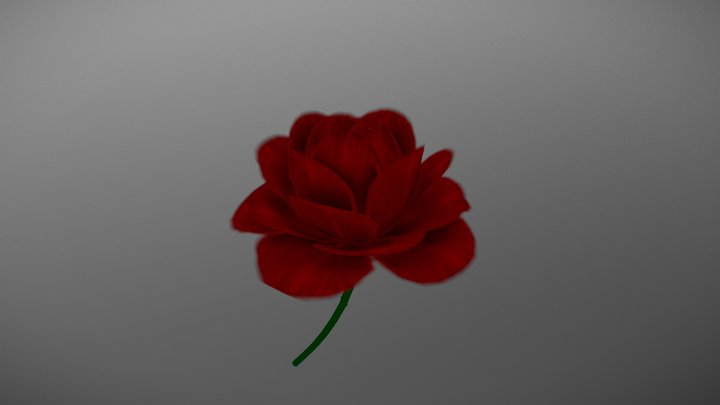 Rose 3D Model