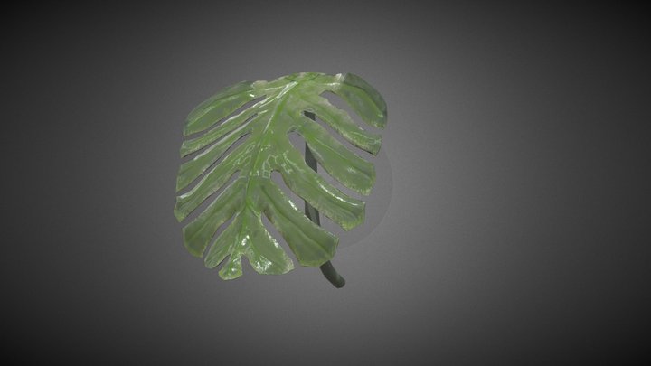 Planta 3D Model