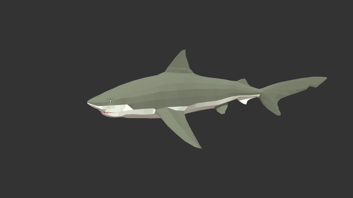 Shark, Rodeo Stampedia