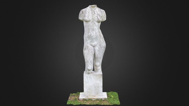 Stehender weiblicher Torso 3D Model