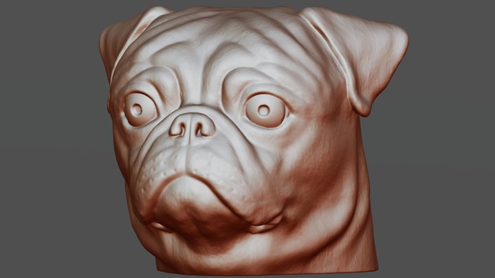 Pug head for 3D printing 3D Model