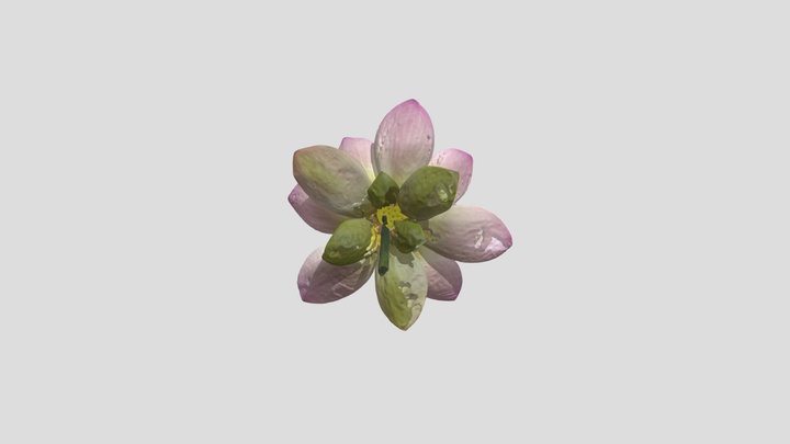 緑地美人23m 3D Model
