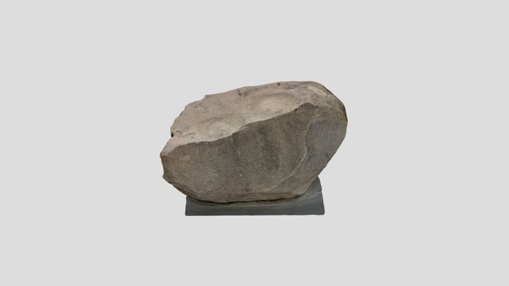 Vėžionių akmuo su įdubomis 3D Model