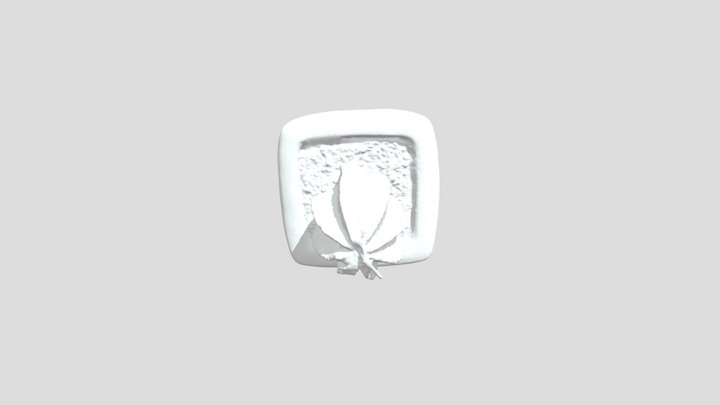 CACTUS 3D 3D Model