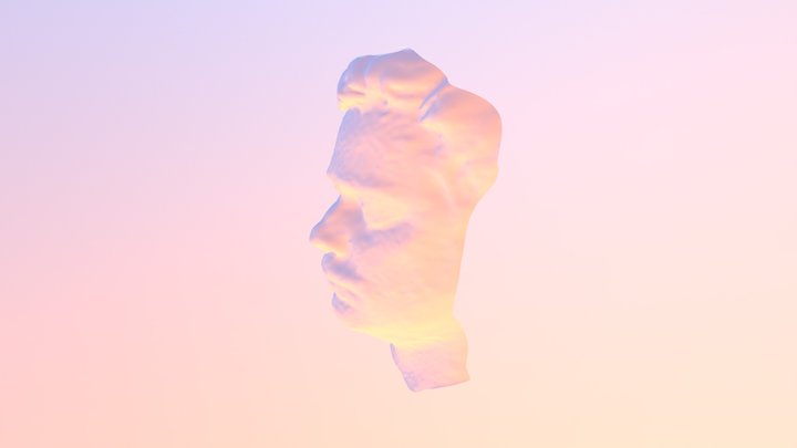 Face Scan Binary-test 3D Model