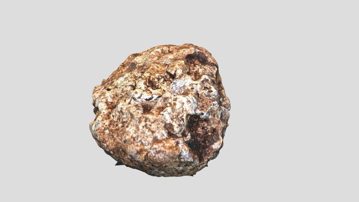 Cave Hyena Coprolite 3D Model