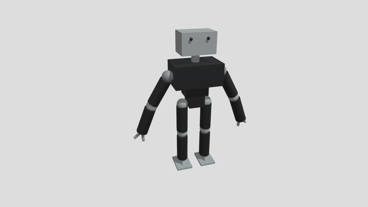 Humanoid Robot