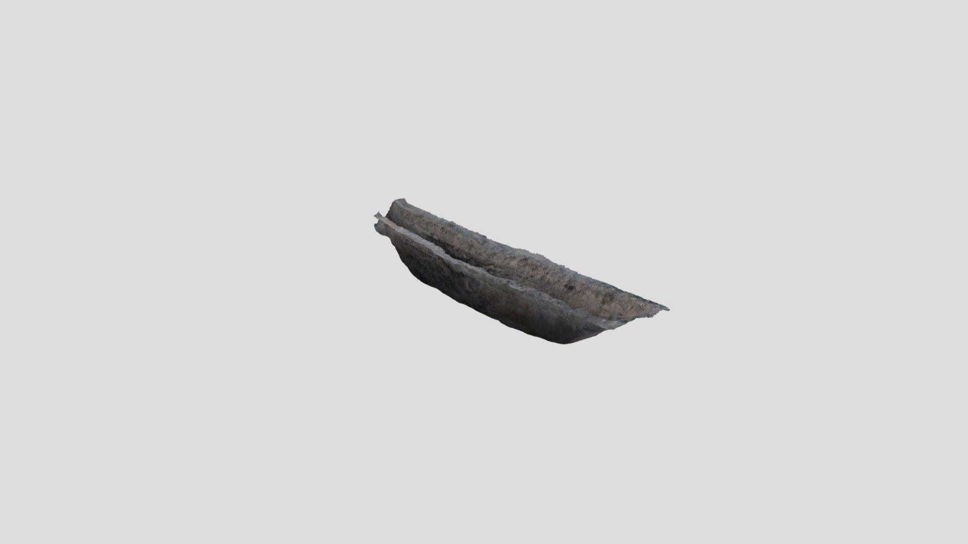 TR 31000 paleoalveo (2019, Aiali)