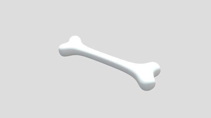 Bone 3D Model
