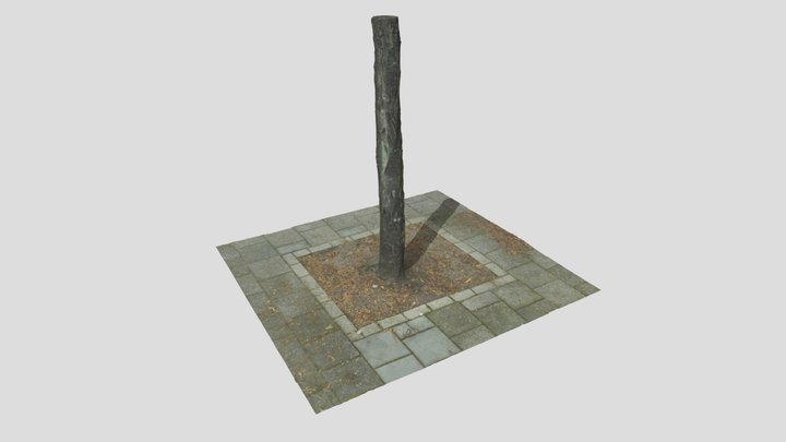 Tree Square | 3D Scan 3D Model