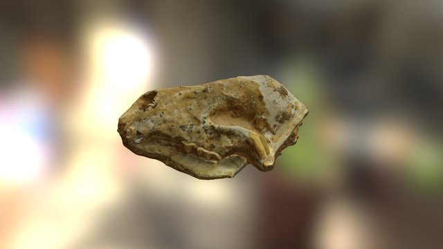 1292asıl 3D Model
