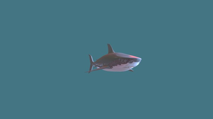 REQUIN 3D Model