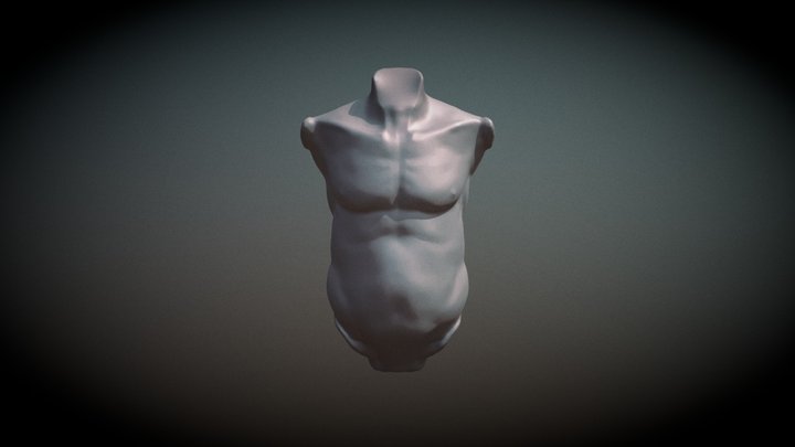 Dani Torsoconpiel 3D Model