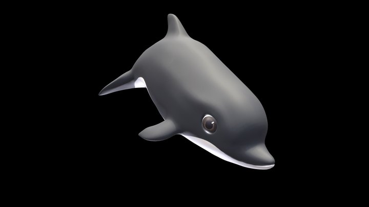 Dolphin 3D Model