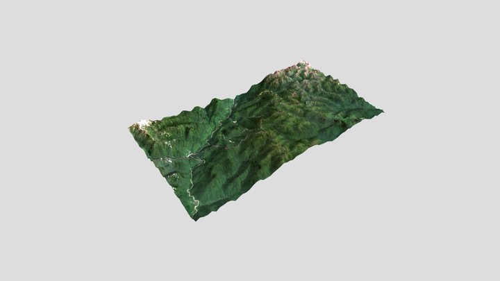 Medog_test 3D Model