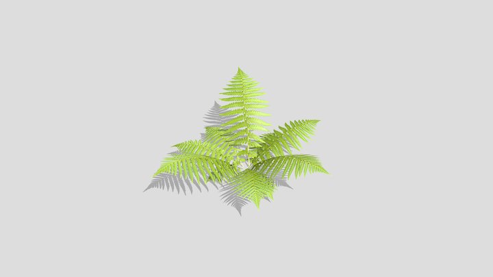 Fern – Modello 3D gratuito STL