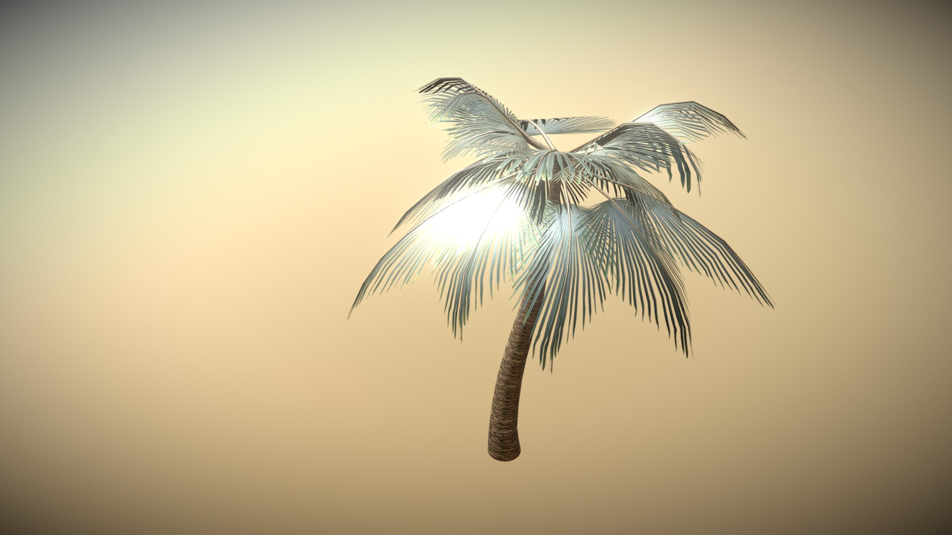 3D model Palm - This is a 3D model of the Palm. The 3D model is about a palm tree with a light shining on it.