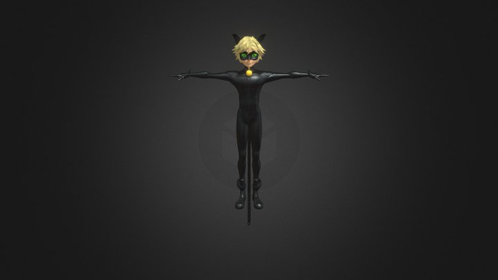 Chat Noir - Miraculous 3D Model