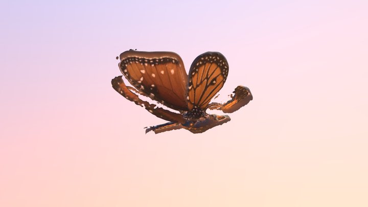 Queen Butterfly 3D Model