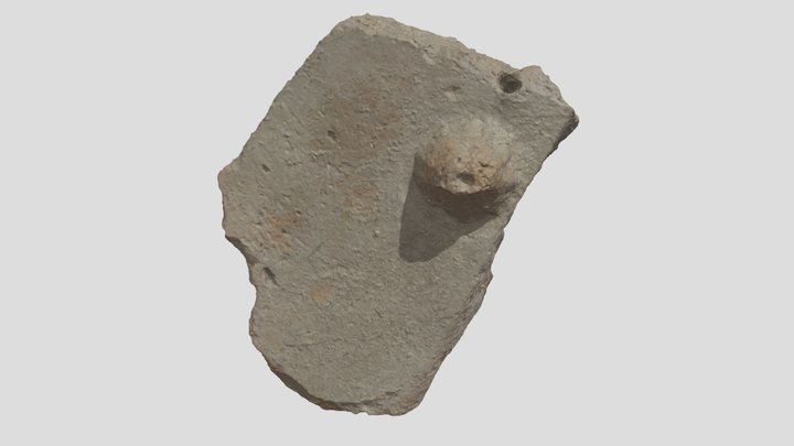 Tegula Mammata - Cosa Excavations C22.041 3D Model