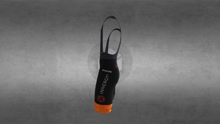 Innergy Team Short Bibs 3D Model