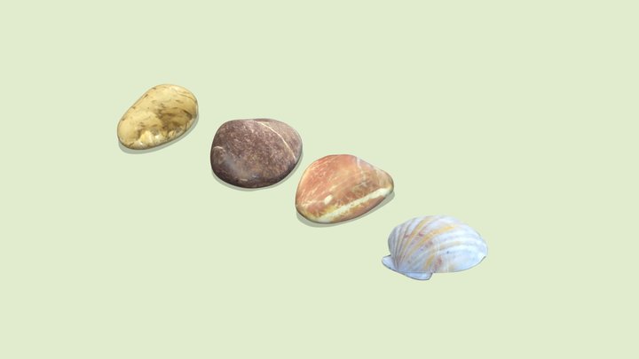 Stones and a seashell 3D Model