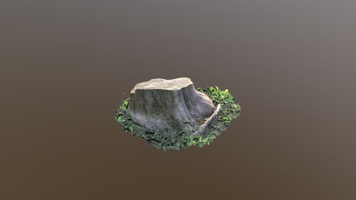 tree trunk-Jun 3D Model