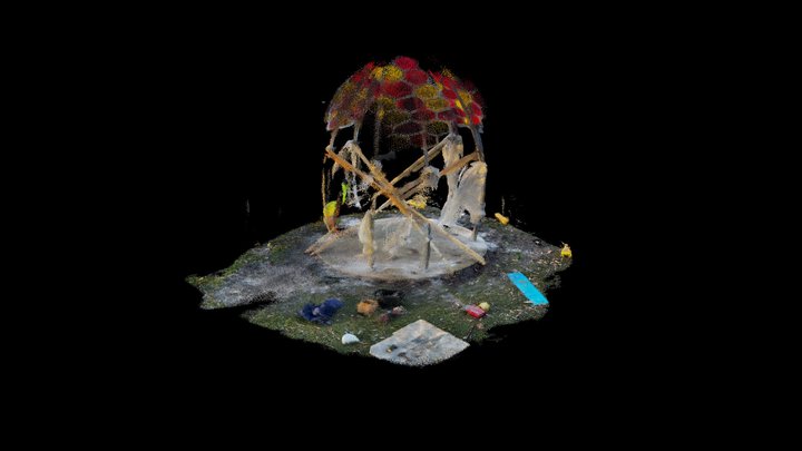 Stirling Banksia 3D Model