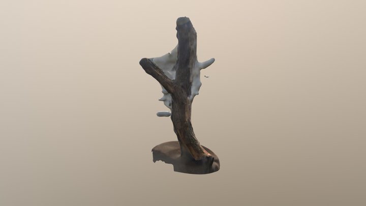 MODEL 3D Model