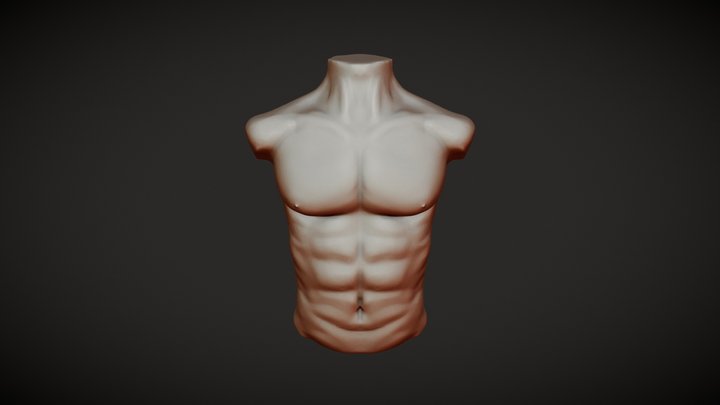Torso - sculpt 3D Model