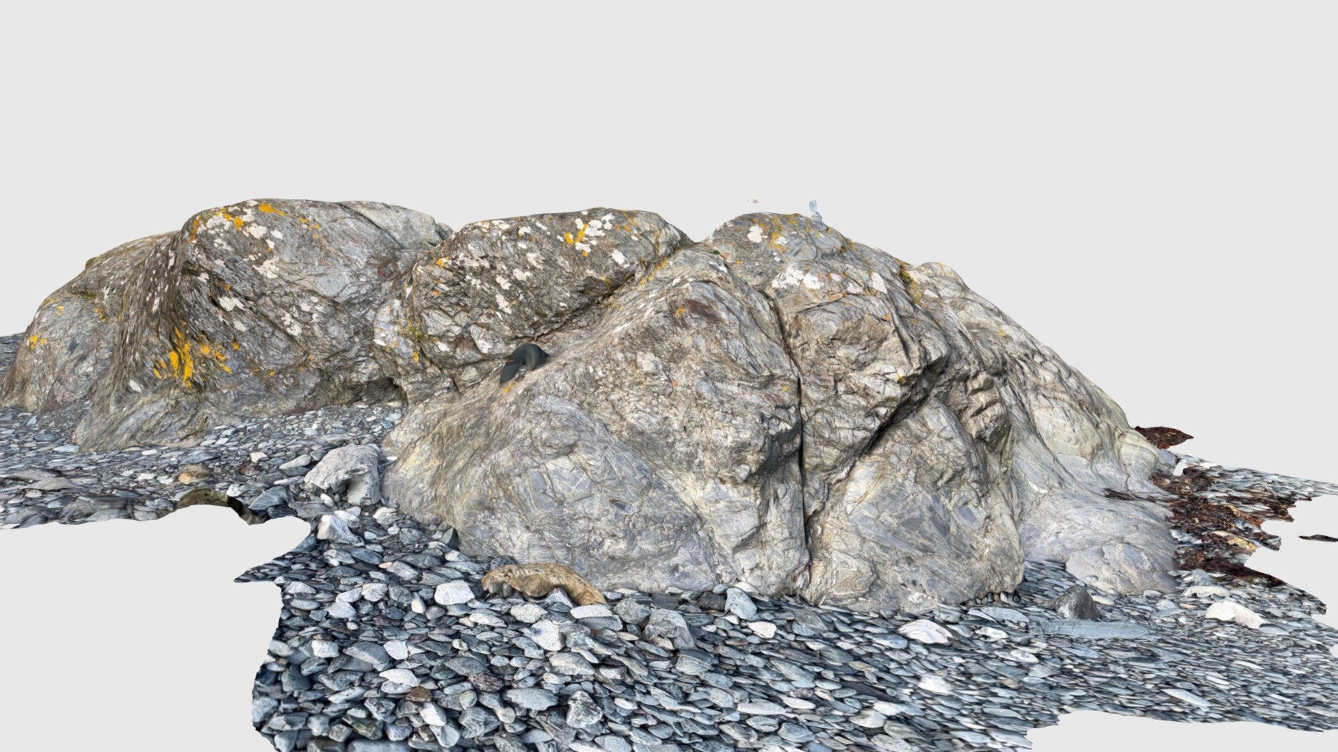 Outcrop at Porthkerris Divers