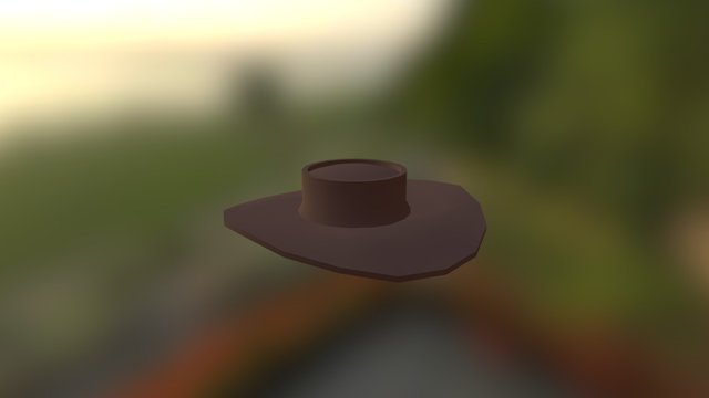 My Cowboy Hat 3D Model