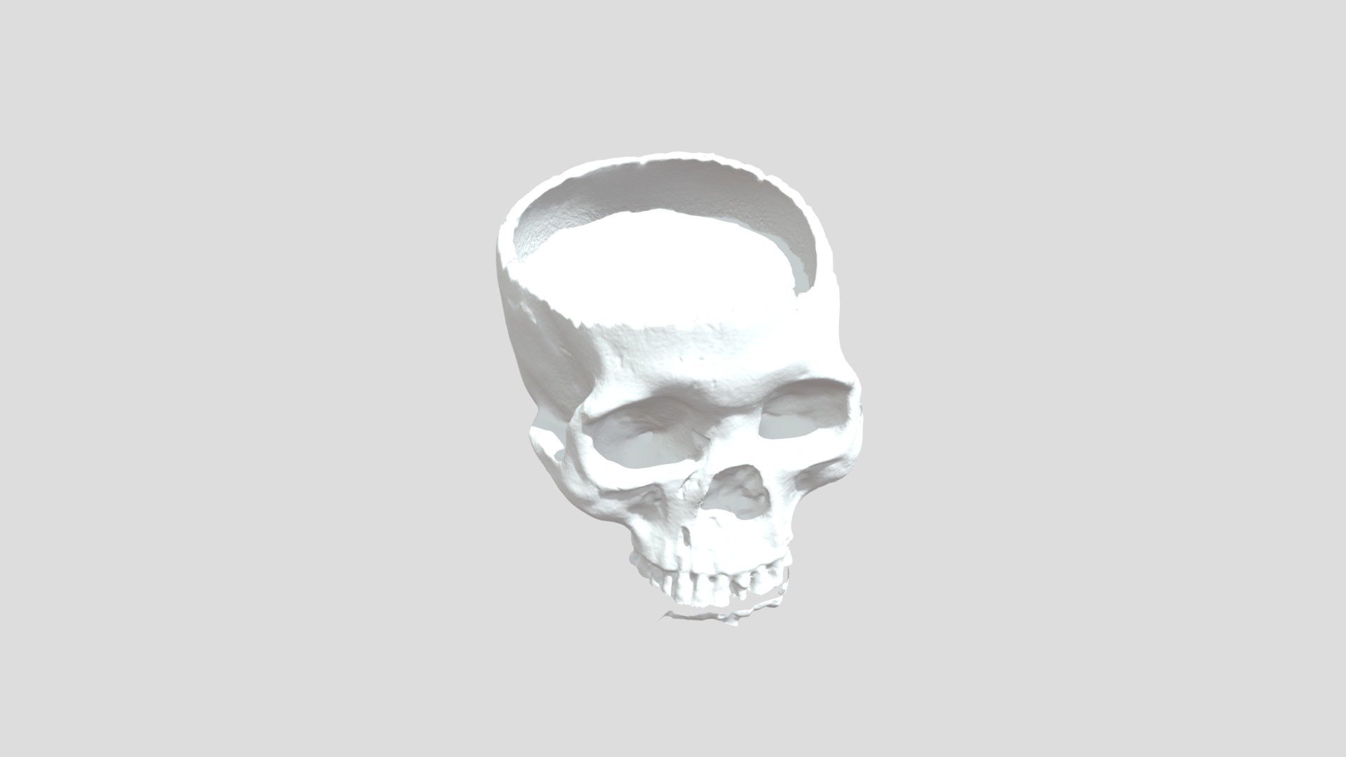 Skull - Download Free 3D Model By Trentrohn9 [387ea7c] - Sketchfab