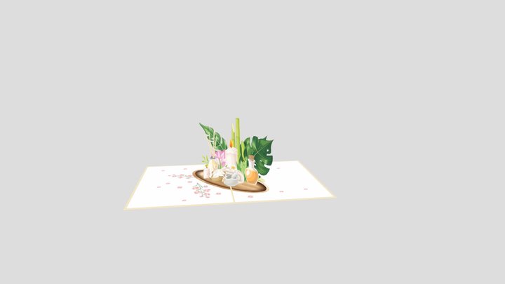 wellness fix 3D Model