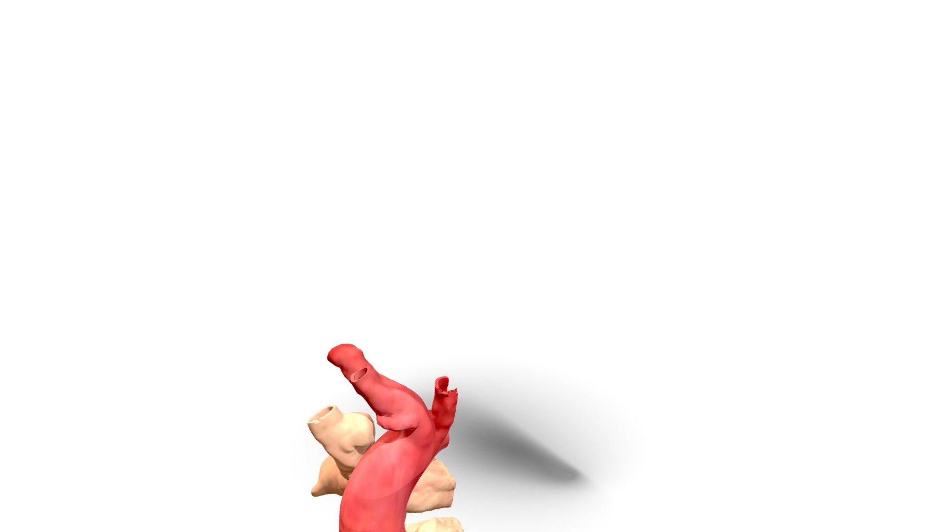 Taglio DX Sketchfab