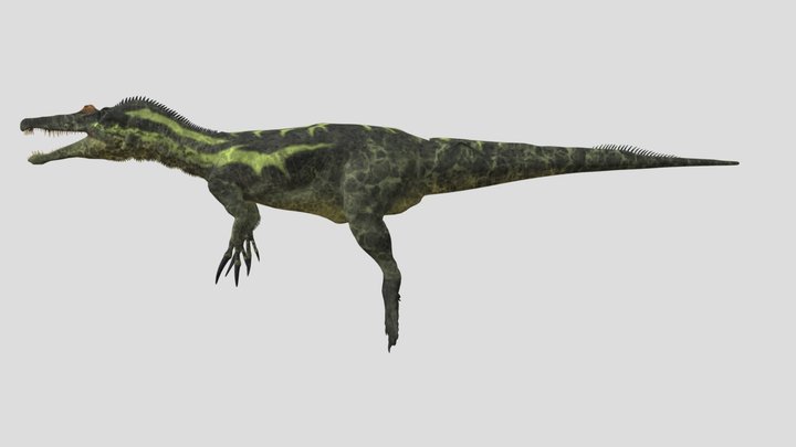 Baryonyx 3D Model