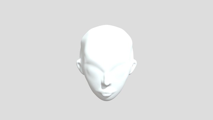My model 3D Model