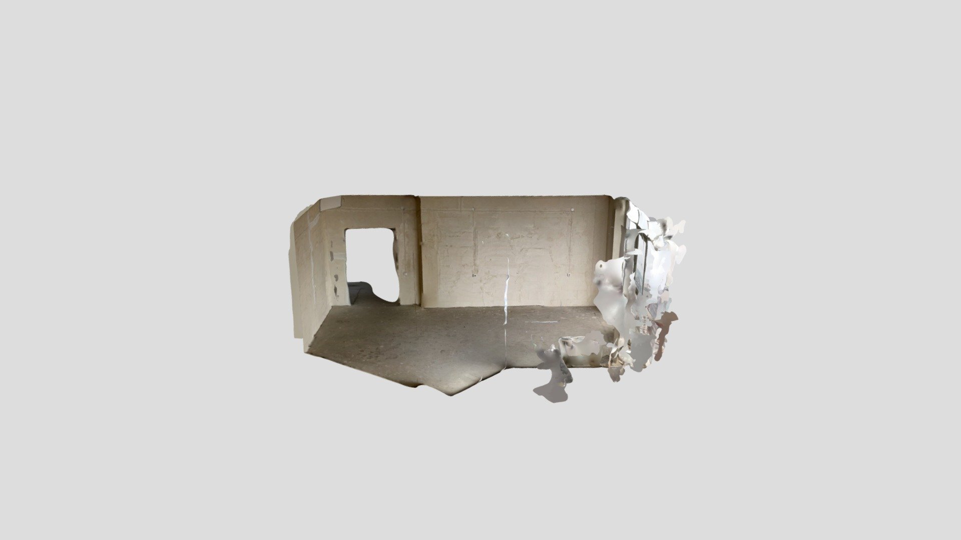 Polycam capture