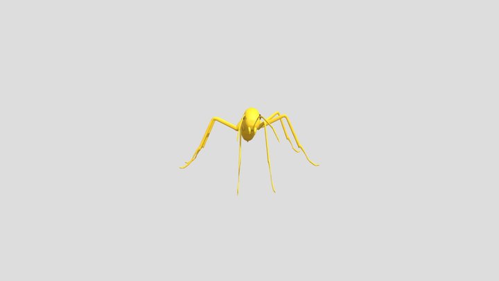 Yellow Crazy Ant Template 3D Model