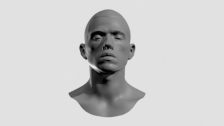Male Portrait – Kostenloses 3D-Modell STL