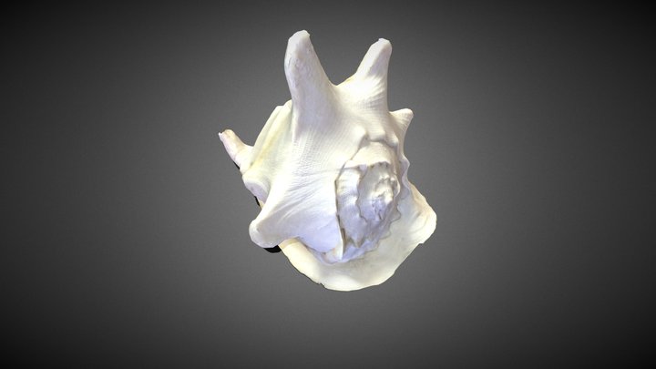 nodelighting_soora_shell_retopology 3D Model