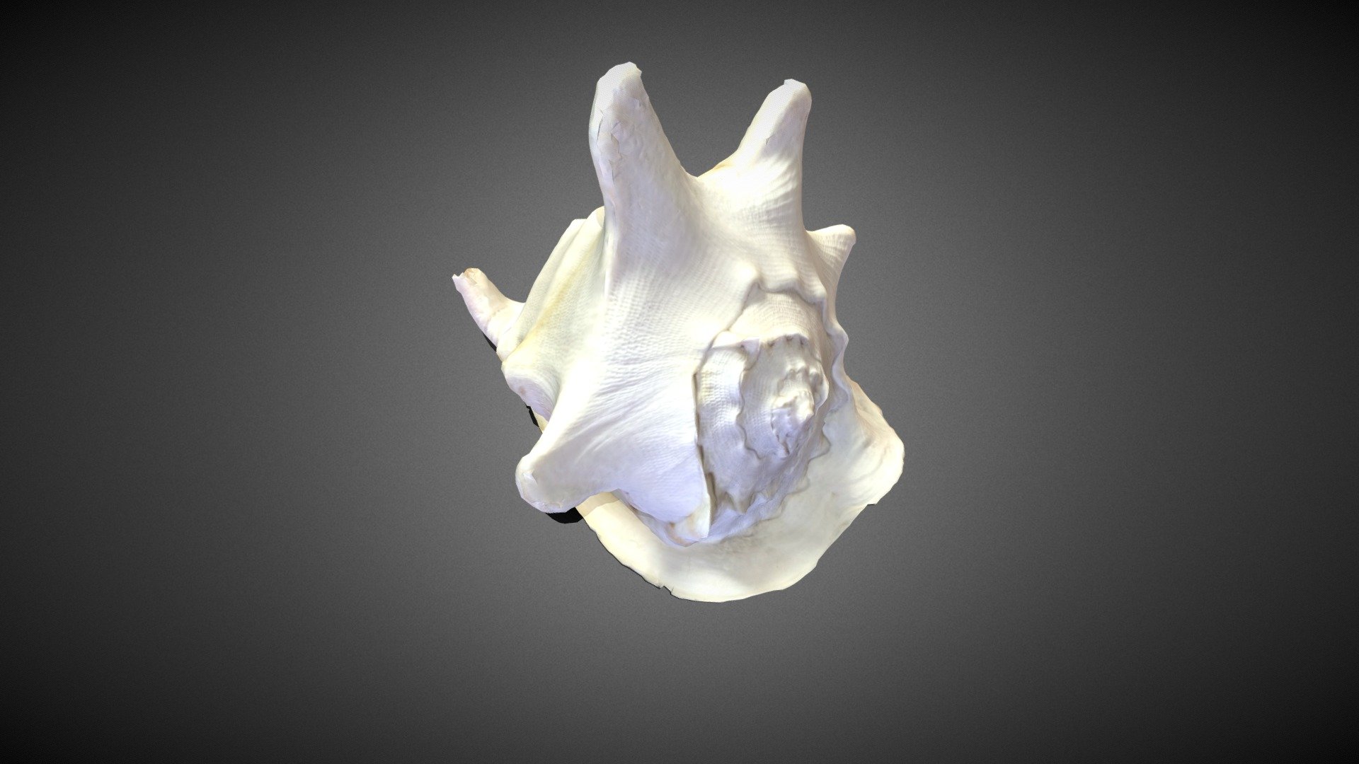 nodelighting_soora_shell_retopology