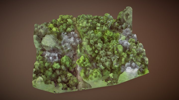 Preburned Gallien canopy imagery model 3D Model