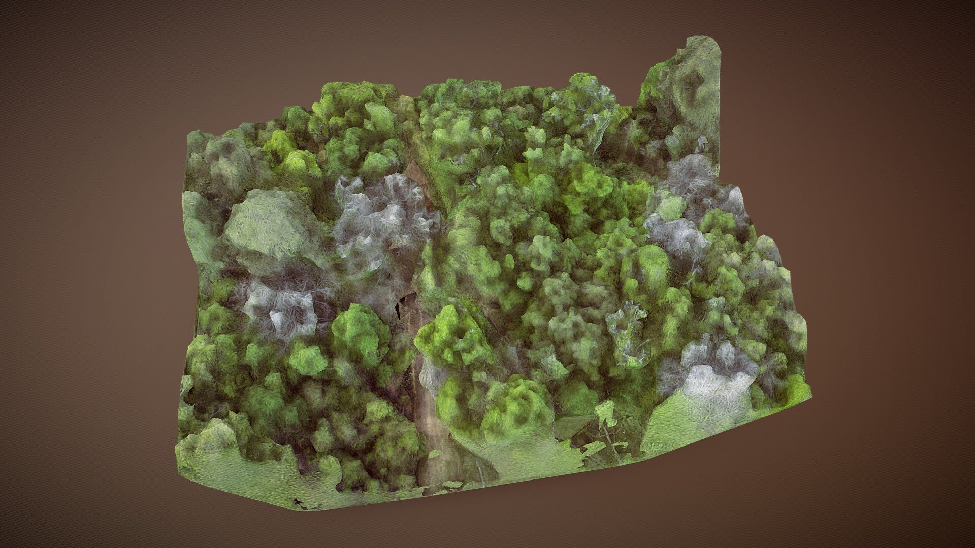 Preburned Gallien canopy imagery model