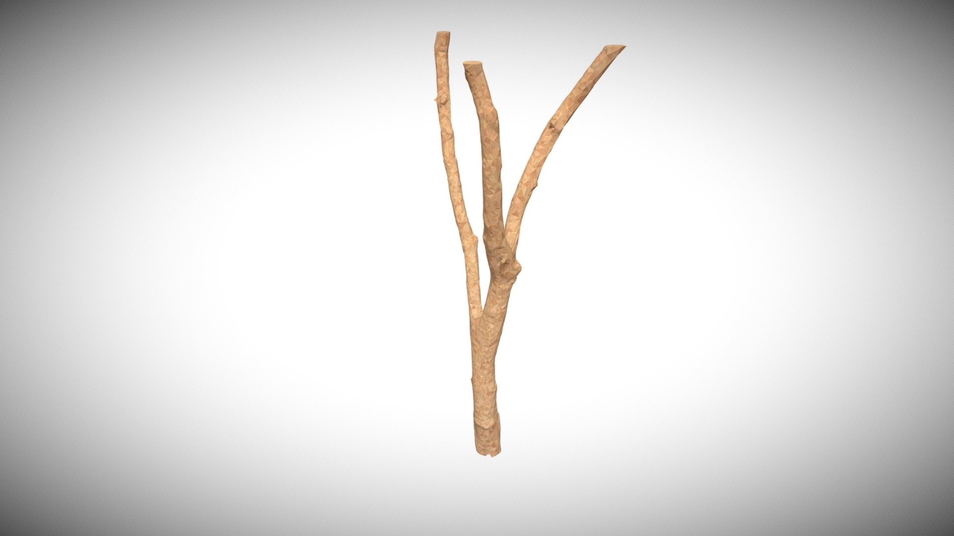Beauty Tree 8