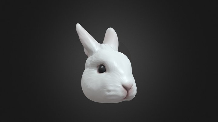 Jacob Ng's rabbit model 3D Model