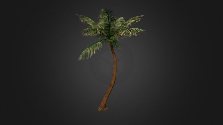 Coconut Tree 3D Model