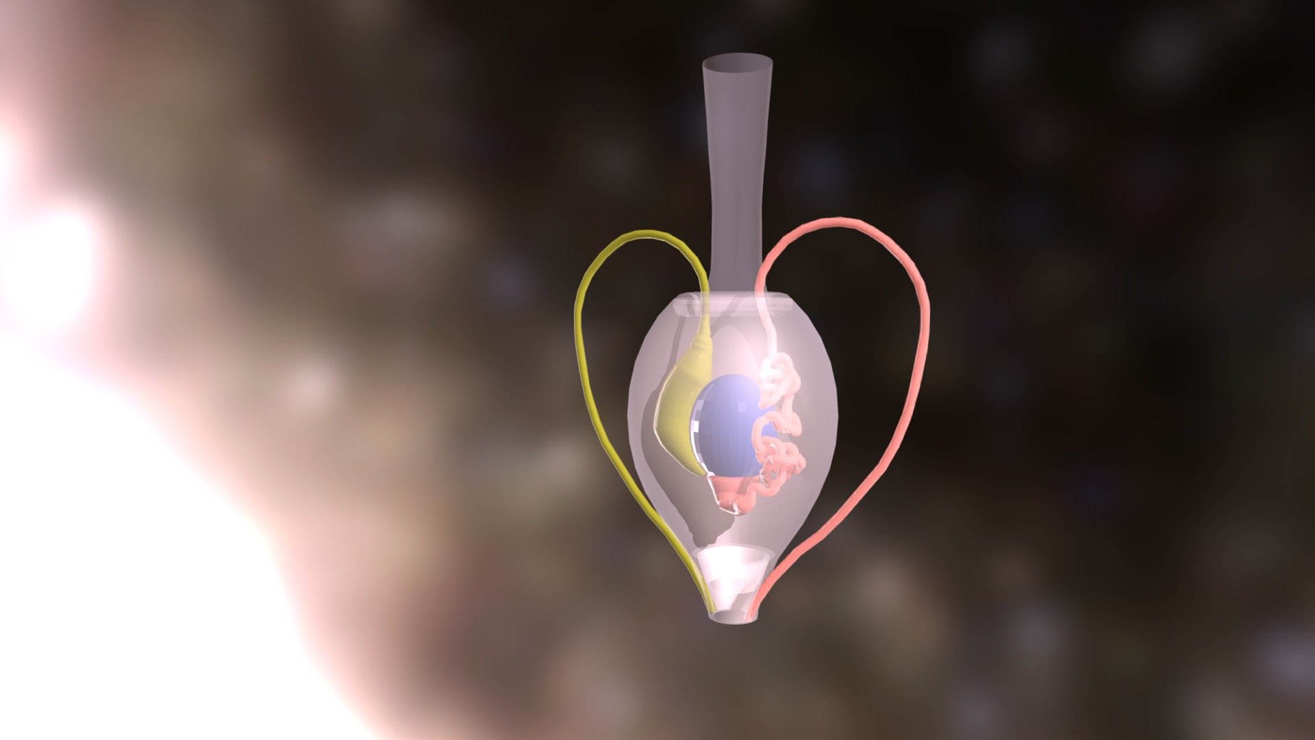 speculativeorgan