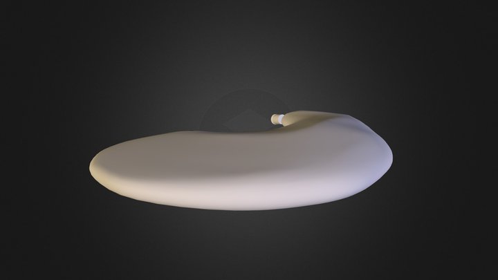 Waterskin 3D Model
